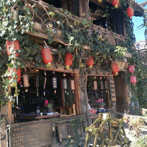 寻梦第二天随记