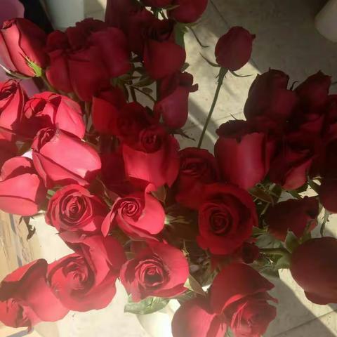 寻梦之旅第一天