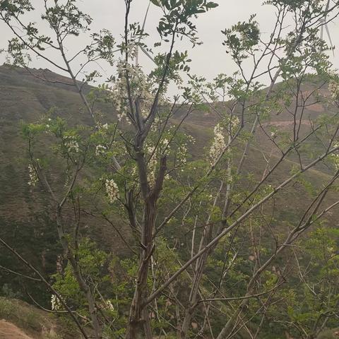 呼吸呼吸大自然的空气，领略一下大自然的风光，遇见一些平时遇不到的事情，吹吹山风，闻闻花香，看一看险壑俊岭，