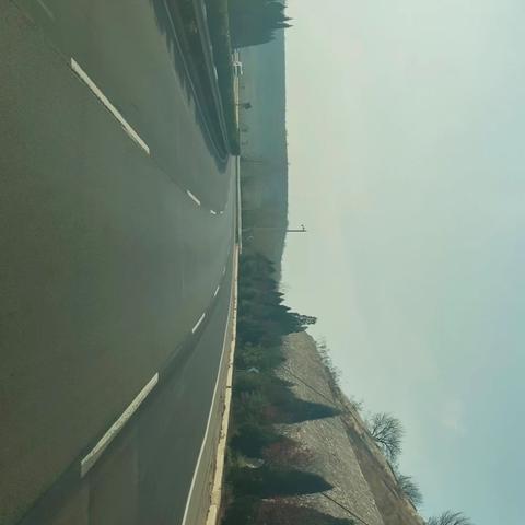 2025年12月7号到山西平陆大天鹅景区观赏大天鹅