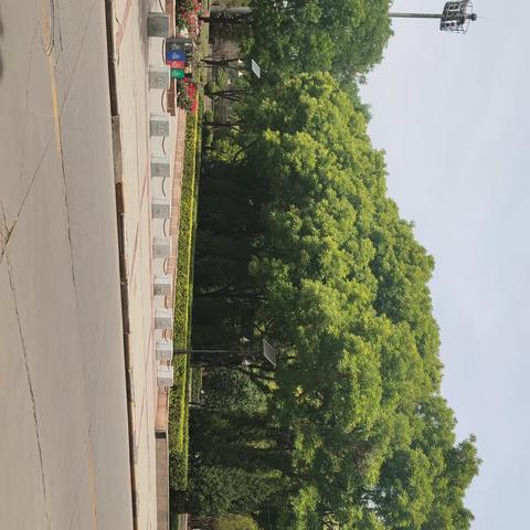 侯马市又一公园——市民公园诞生。美景如画，一步一景，步移景换。——2025.5.6