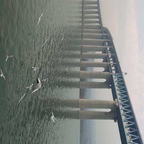 2025年12月6号随团儿去河南陕州地坑院和三门峡天鹅湖旅游（二）