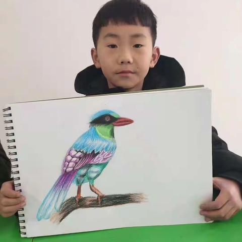 本学期开设：绘画：彩铅画、色彩画、水彩画、素描、创意卡通画书法：小学书法            初中书法