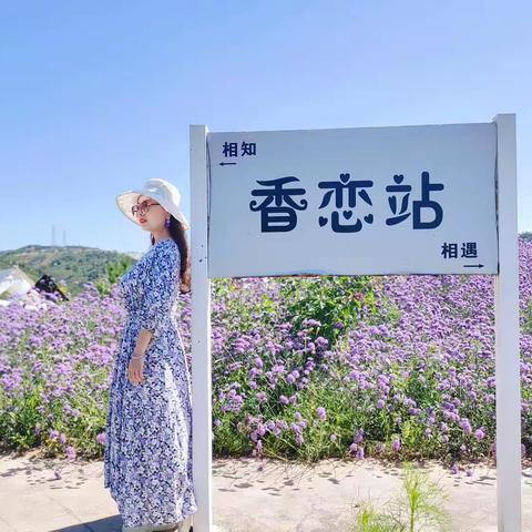 薰衣草NE庄园