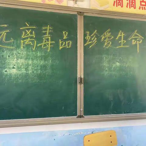 麻姑营中学禁毒教育活动