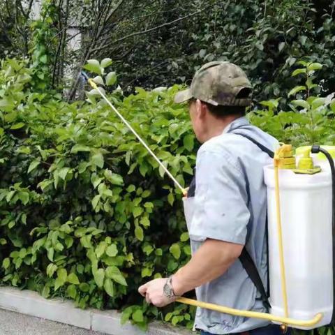 ［大东创卫］沈阳市第二十八中学关于开展夏季统一消杀蚊蝇活动