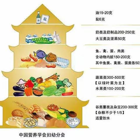 龙山幼儿园“家园彩虹桥，携手抗疫情”爱心系列活动（三百五十九）——儿童营养膳食