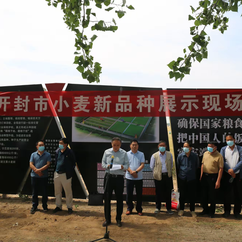 筑牢农业芯片   推进种业振兴   2022年开封市小麦新品种展示现场会召开