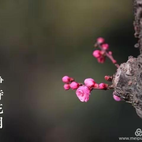 德智体美劳好少年，宅家战疫我最棒！—开小一年级二班滕钊一