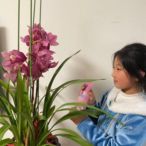 平度经济开发区小学三年级二班滕钊一