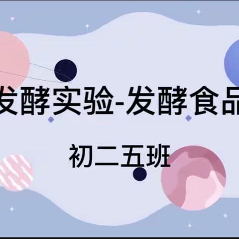 探索生活中的“发酵”