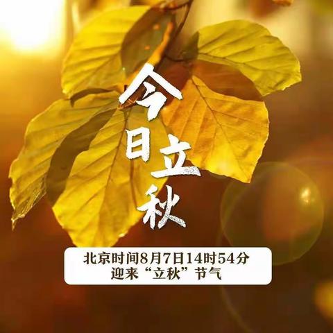 秋风起，秋意浓—立秋