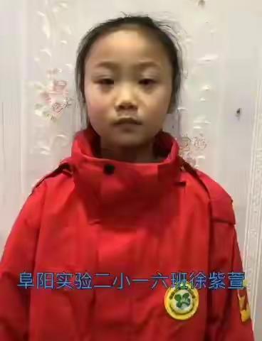 梅子的美篇