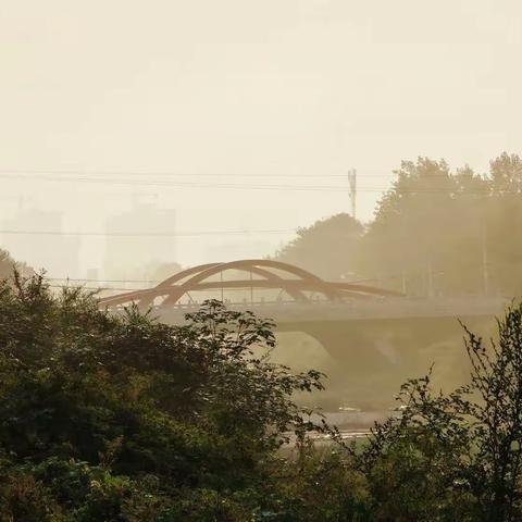 小城碎影（三十）中秋午河两岸风景