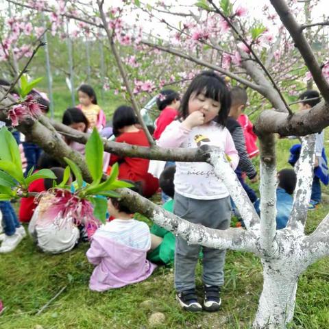 向日葵幼儿园中班“走进春天，感受春天的美”