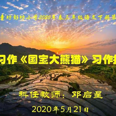 长汀县童坊彭坊小学2020年春三年级语文下册第七单元《习作：国宝大熊猫》习作指导