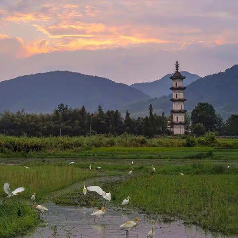 问余何意栖碧山