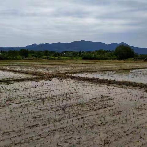 碧山采风