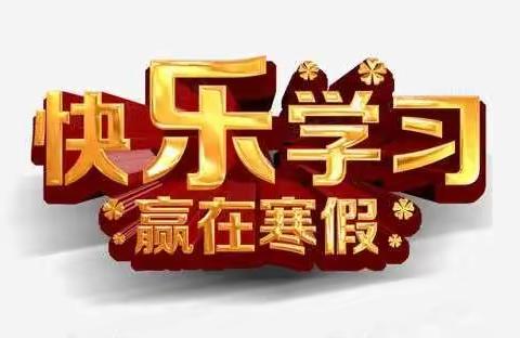 精彩寒假不虚度  努力学习不止步