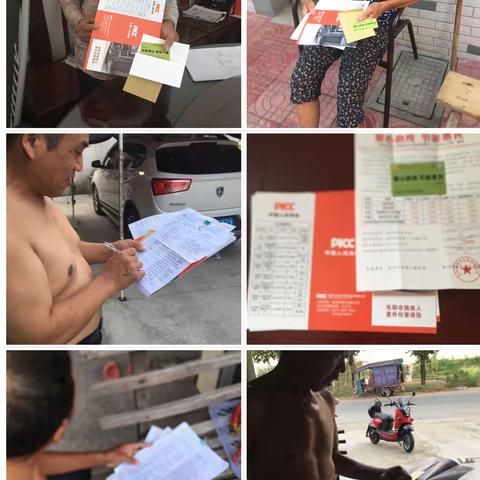 葛丽丽的美篇