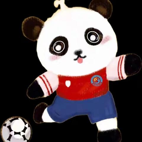 ⚽️挥洒体育热情 重振抗疫之风🥊——包钢十园艺术领域家庭指导方案（七十八）