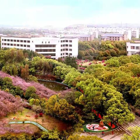 “庆三八，咏三春”