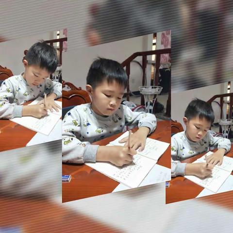 学习让我茁壮成长——于都第三小学  三(5)班  姚茂伟