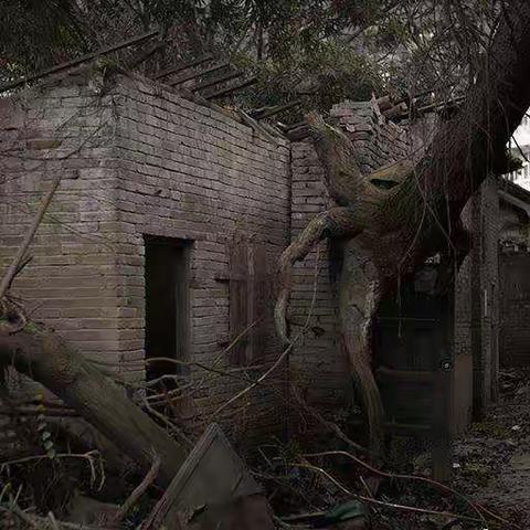 前年洪水郭家沱淹得恼火。望江拍照，兄弟“按嘴子”请我喝酒，满口知青黑话～望江河边散养的鸡，皮脆肉弹香不可挡。