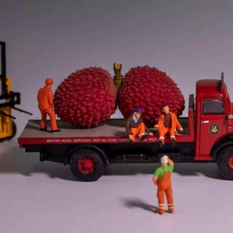 耐司NiSi近摄镜微距小品创意拍摄，网络交流提升班（第一期）影友作品精选。