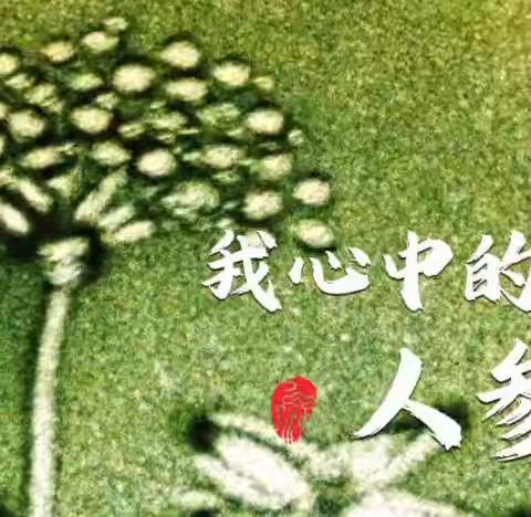 二实学子绘参花 ﻿，﻿﻿以沙代笔抒情怀