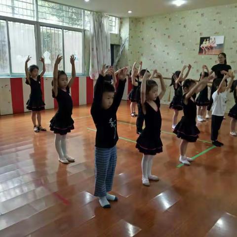 雨艺拉丁舞2017.7暑期入门班（7.6）