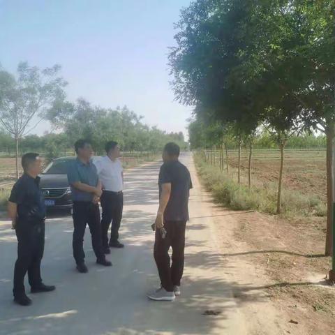 县委组织部到杜生镇调研