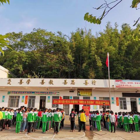 珍爱生命，预防溺水——清水口镇大荣小学防溺水安全教育暨学生宣誓签名活动