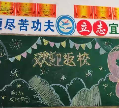 虎步开盛景 一起向未来