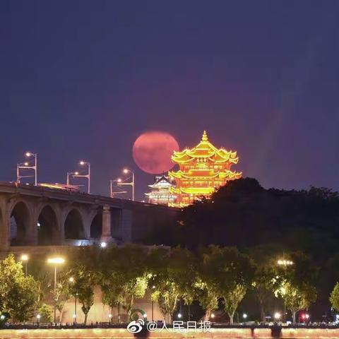 【回家】Grace的美篇