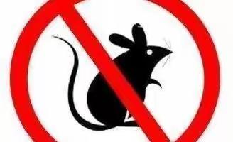 闻韶街道管仲社区深入开展2021年度爱国卫生运动