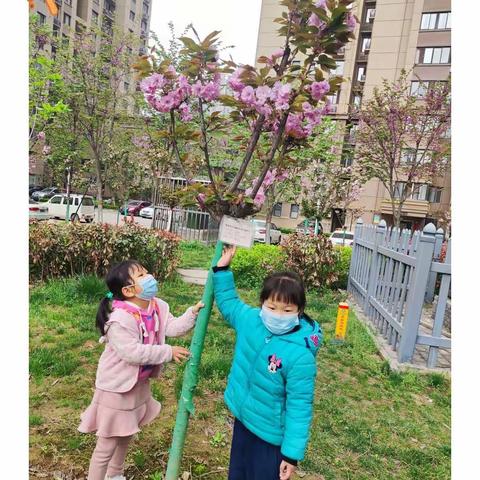 “春意盎然又一年，我们相约在幼儿园”小一班精彩纷呈……