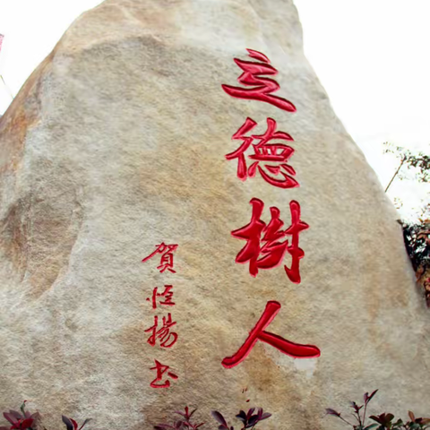 全力战“疫”，南召一中校友在行动