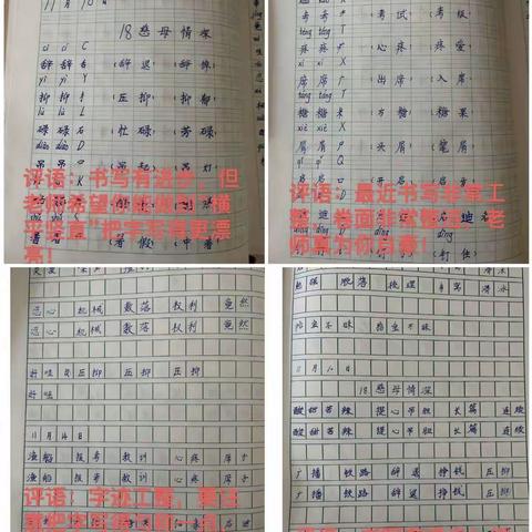 五年级二班语文优秀作业展示