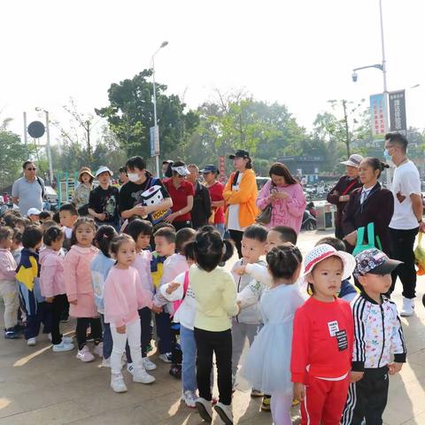 “播下一个行动，收获一种习惯”----文山市第一幼儿园小四班主题春游 踏青活动