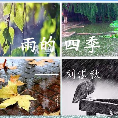 《雨的四季》刘湛秋～～～吴添皓