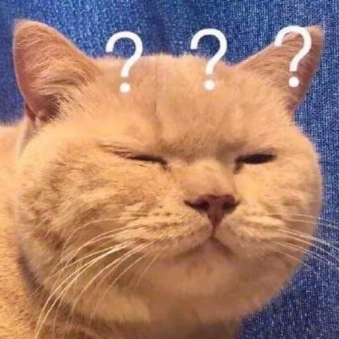 猫咪