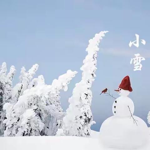 【乐新实幼】迎冬小雪至 应节晚虹藏——开封市禹王台区实验幼儿园小雪节气主题活动