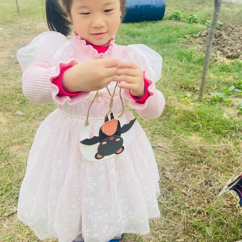 卢坡小学附属幼儿园“梦想起航”大班一周生活美篇