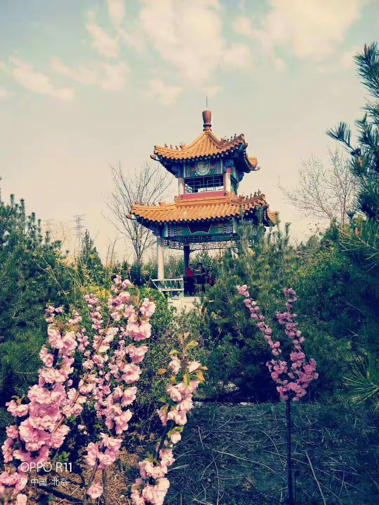 疫情阻挡不了春天的脚步