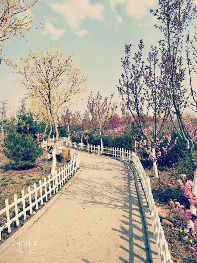 疫情阻挡不了春天的脚步