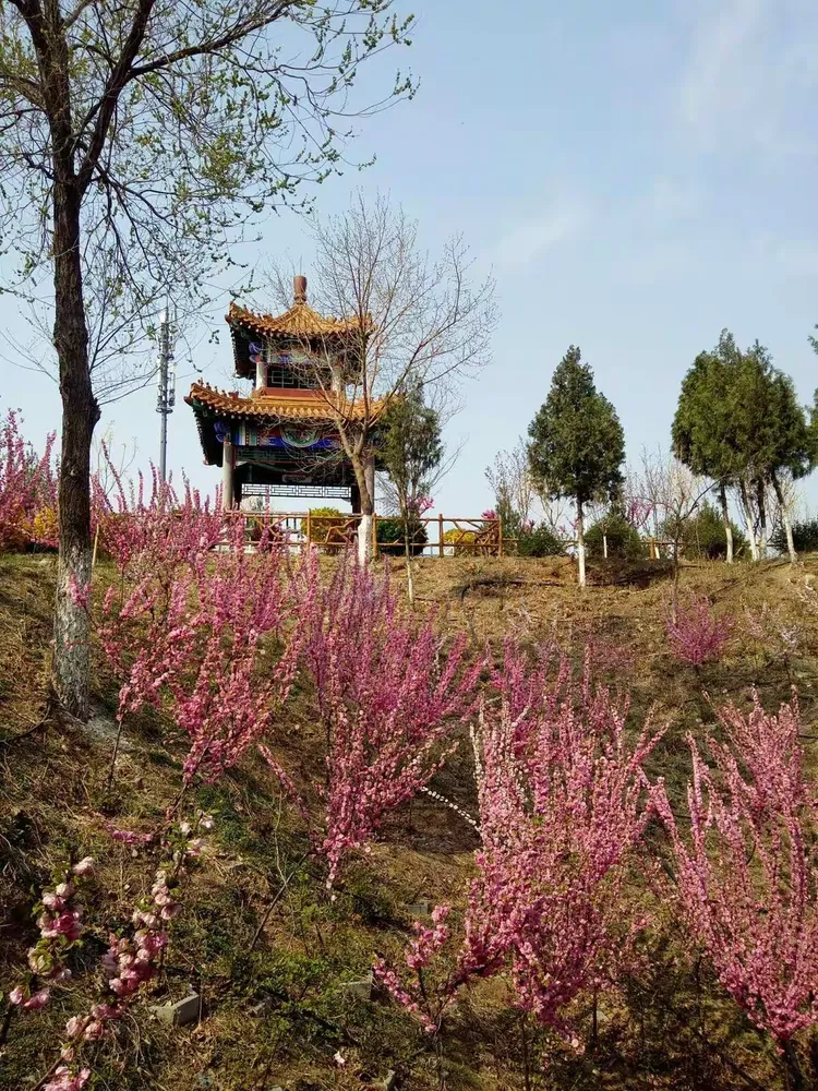 疫情阻挡不了春天的脚步