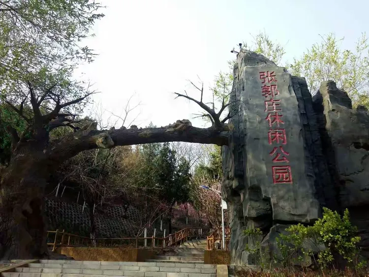 疫情阻挡不了春天的脚步