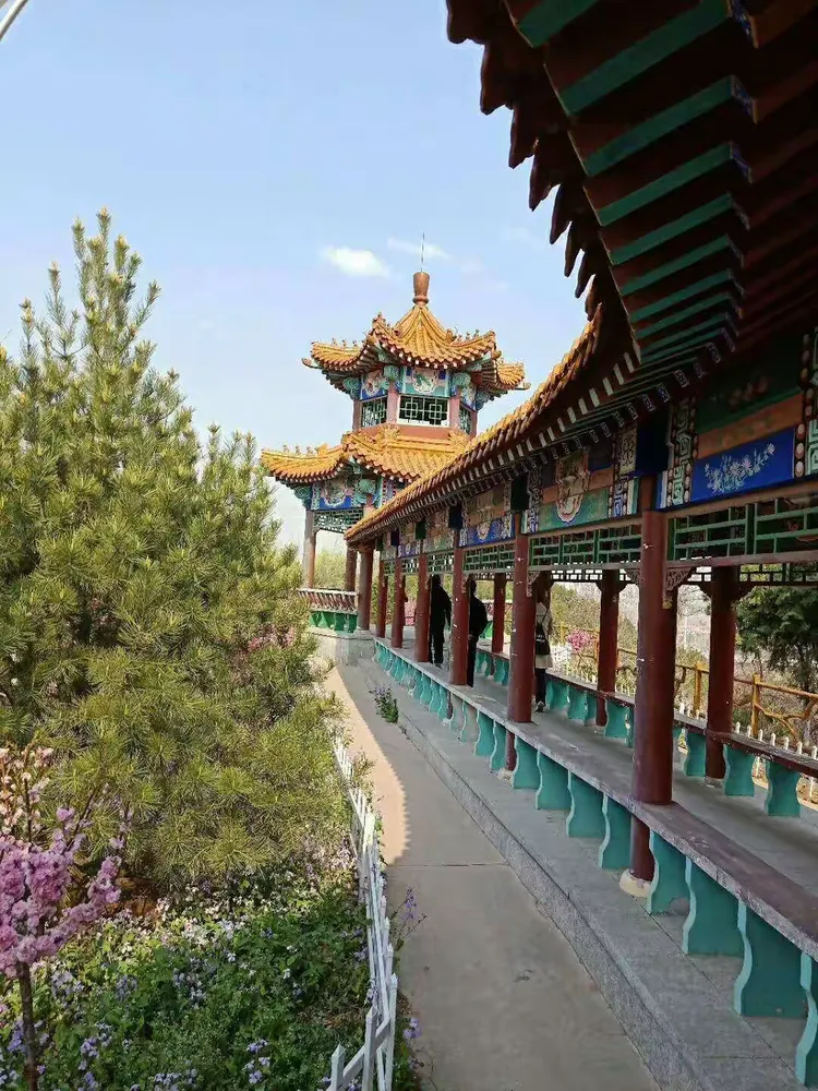 疫情阻挡不了春天的脚步