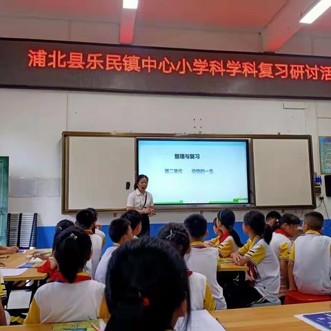 优化设计，提高效率——记乐民镇中心小学学区科学复习研讨活动